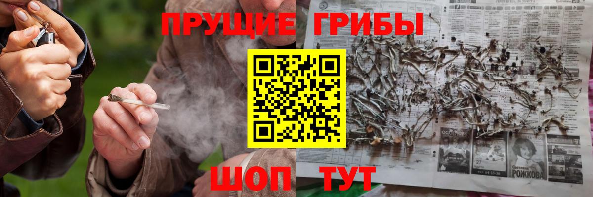 Псилоцибиновые грибы Magic Shrooms Шелехов