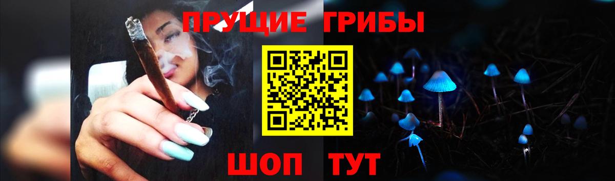 Галлюциногенные грибы Cubensis  Вход с VPN  Шелехов 
