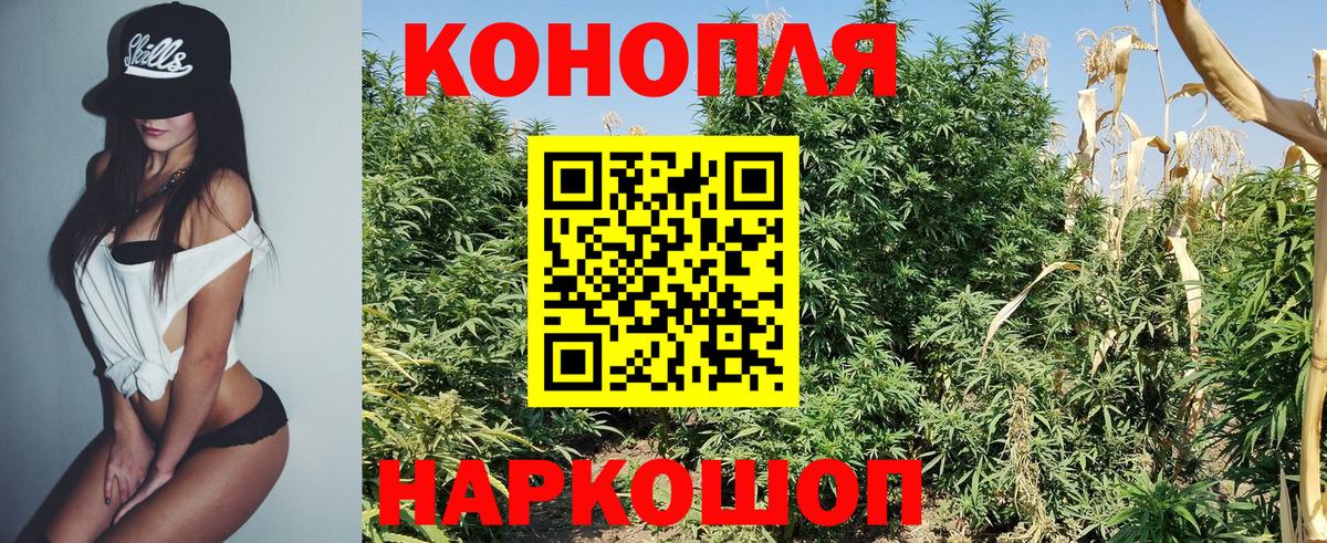 Шишки марихуана VHQ  Марихуана Amnesia  Вход с VPN  МАРИХУАНА план  Шелехов 